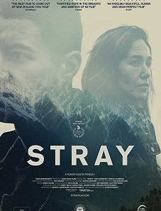 Stray 2018