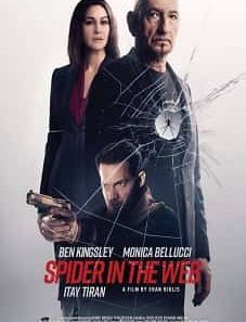 Spider in the Web 2019