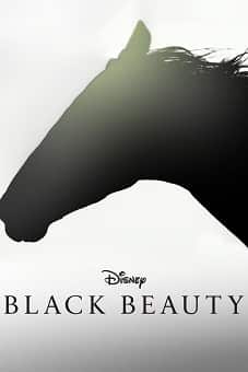 Black-Beauty-2020