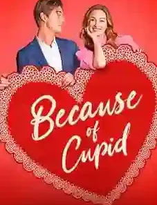 Because of Cupid 2026