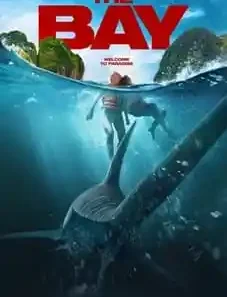The Bay 2026